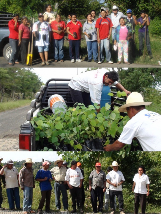 OBRASOCIAL-2