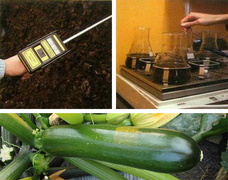 calidad-e-innovacion
