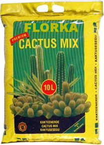 florka-para-cactus
