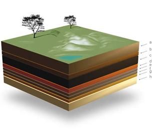turba-peat-moss